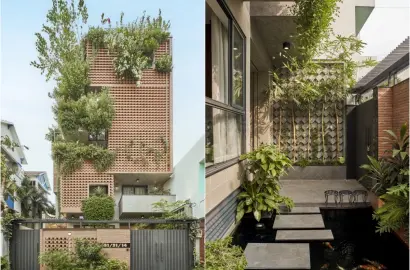 Xu hướng tạo 'hệ sinh thái xanh' trong nhà phố