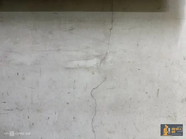 img-2785-snapseedcopy-17747537-3613-4408-1774757793